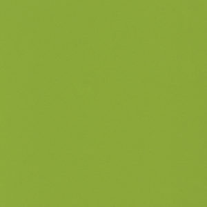 Green Fun Quartz Countertops
