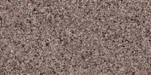 Cranbrook Quartz Countertops