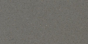 Grey Expo Quartz Countertops