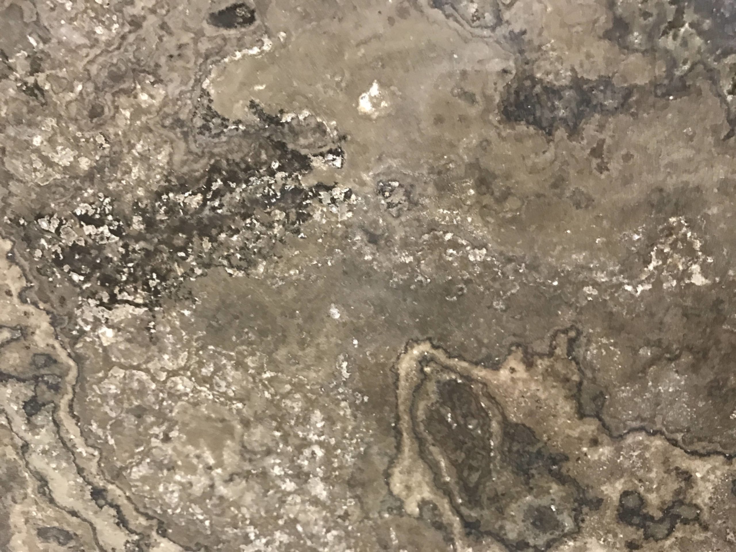 Eramosa Marble Countertops - Image 3