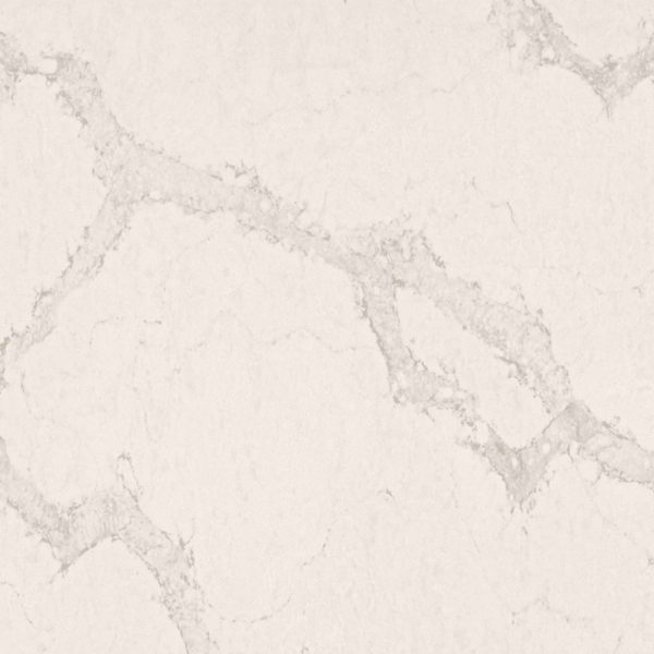 Calacatta Nuvo Honed Quartz Countertops