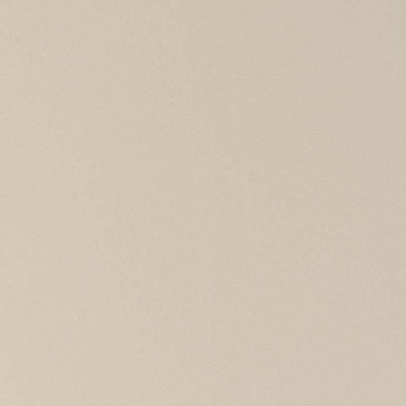 Ash Gray Quartz Countertops