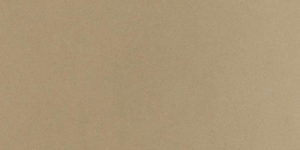 Desert Bloom Quartz Countertops
