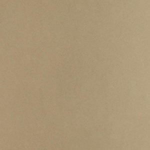 Desert Bloom Quartz Countertops