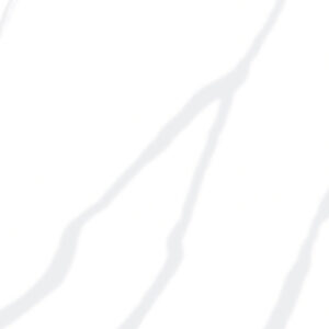 Calacatta Luna Countertops